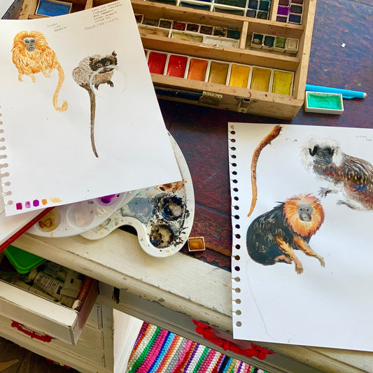 Designing the Tamarin Print