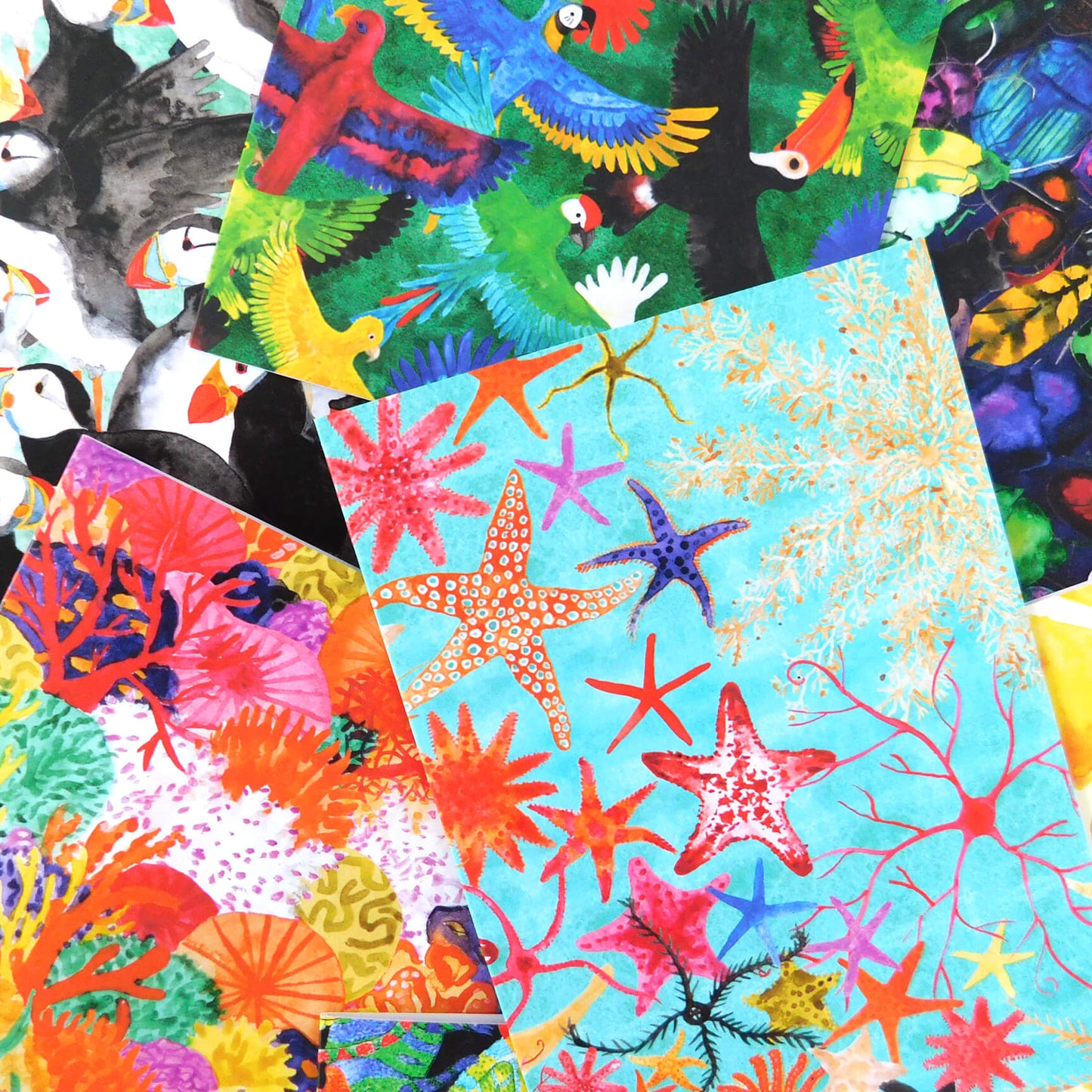 Reptilia British Reptiles Print Greetings Card