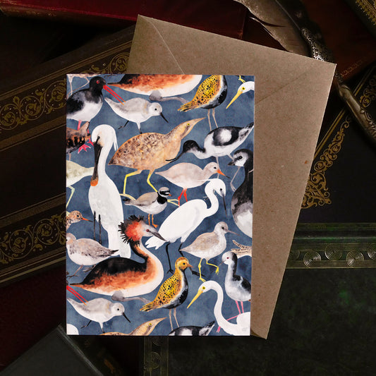 Aestes Wetland Birds Greetings Card