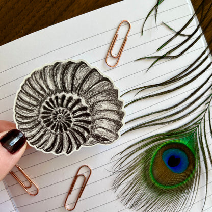 Ammonite Sticker