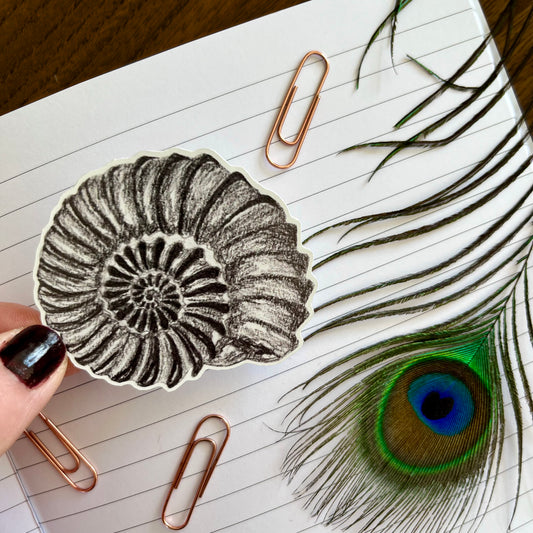 Ammonite Sticker