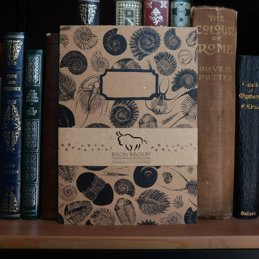 Ammonoidea Print Sketchbook
