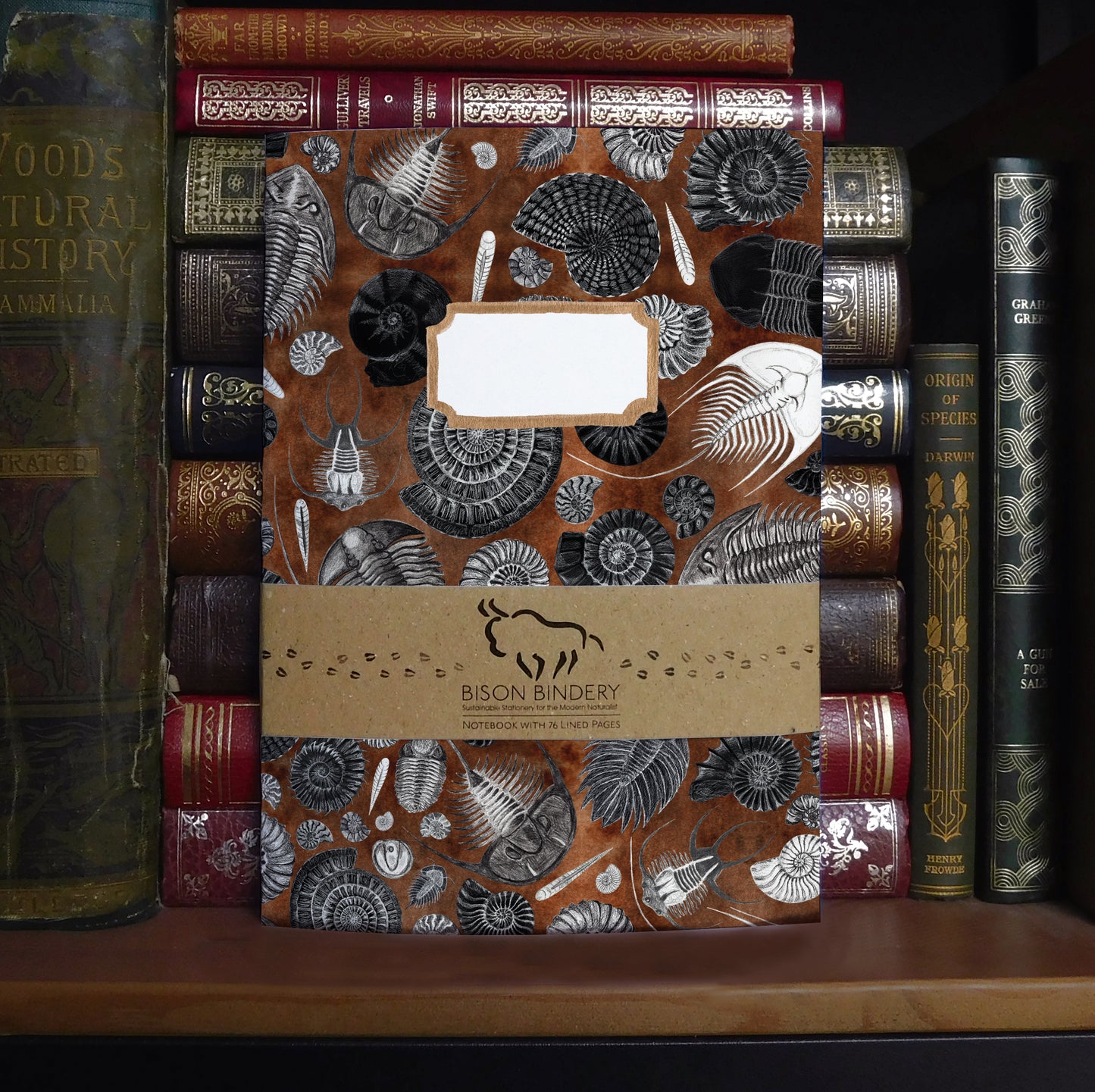 Ammonoidea Fossil Print Lined Journal