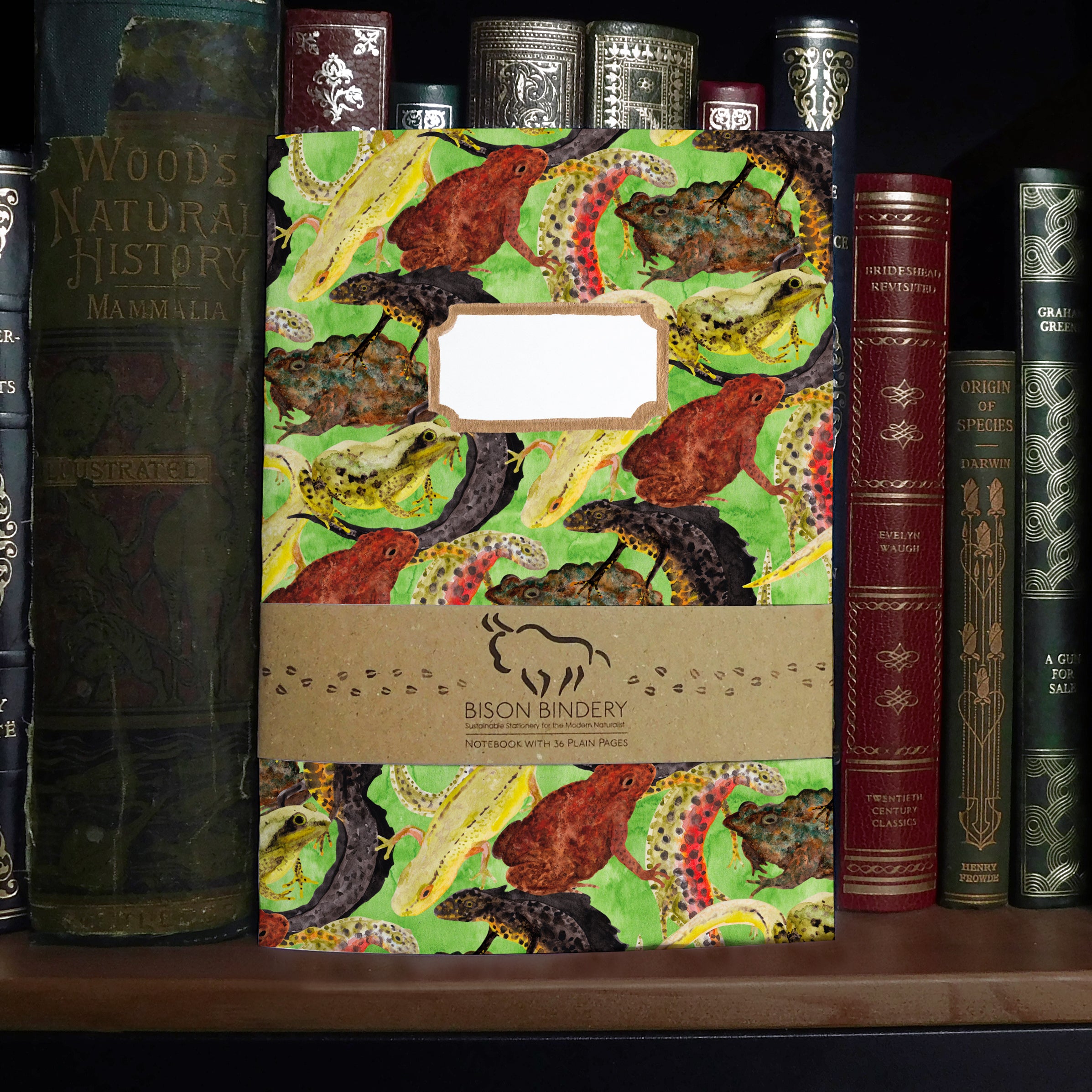 Amphibia Print Notebook – Bison Bindery