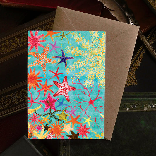 Asterozoa Starfish Greetings Card