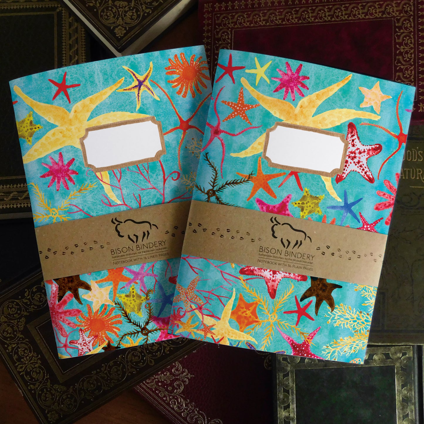 Asterozoa Starfish Print Journal and Notebook Set