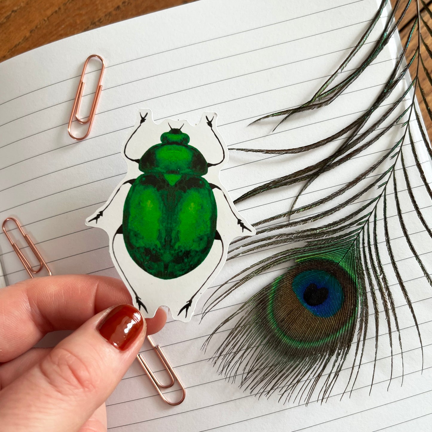Beetle Sticker