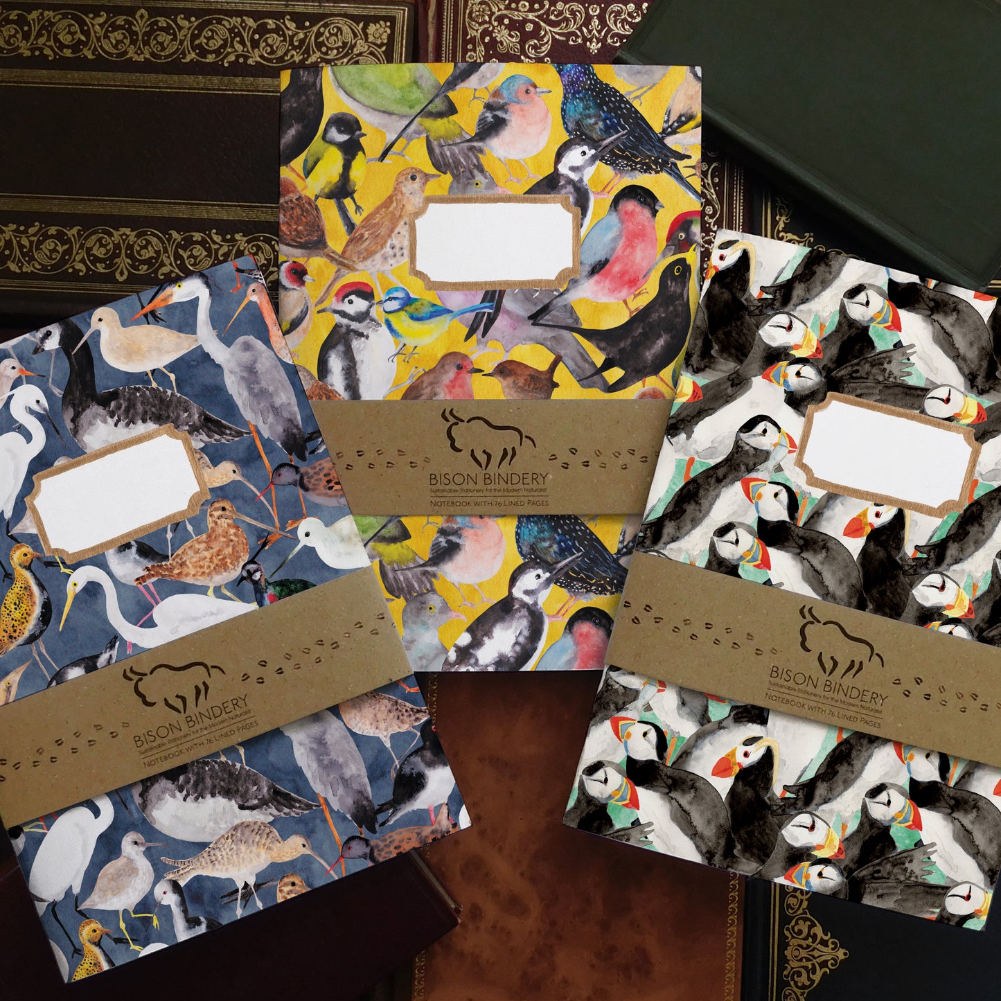 British Birds Lined Journal Pack