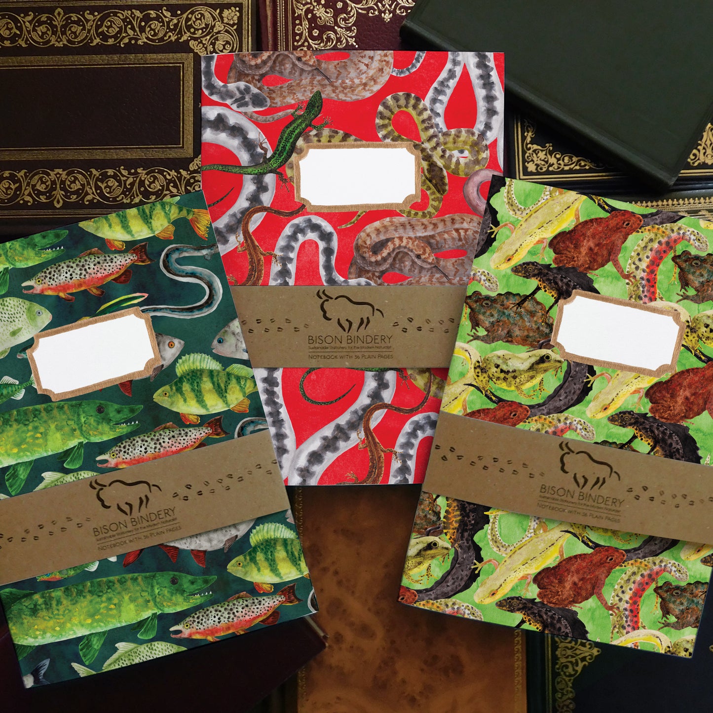 British Vertebrates Notebook Pack