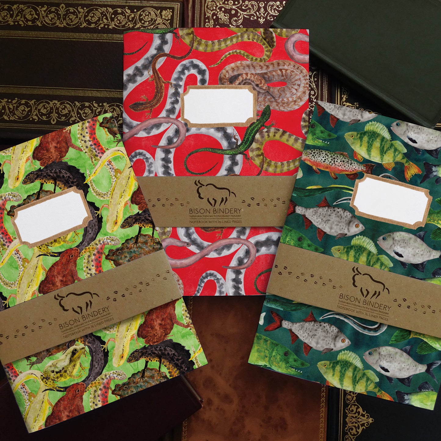 British Vertebrates Lined Journal Pack