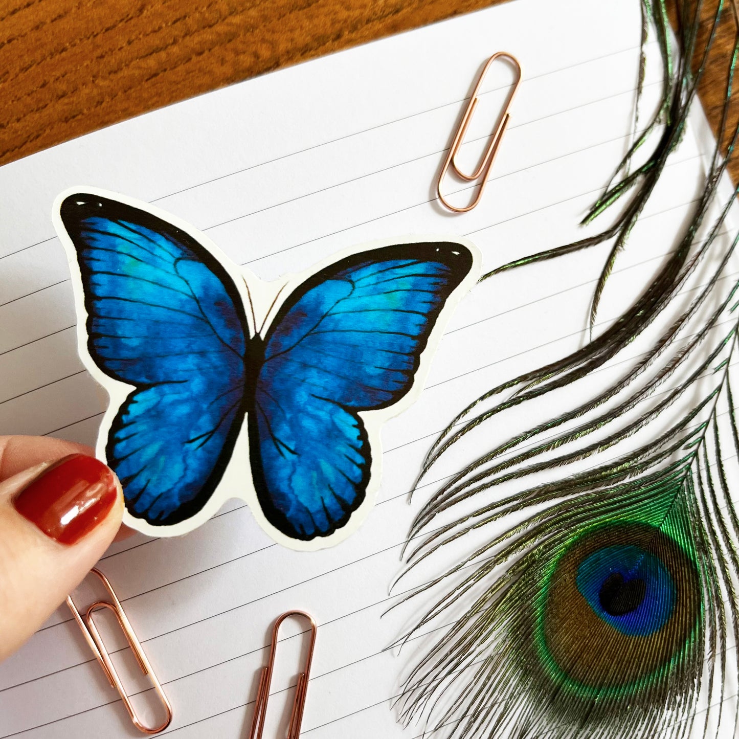 Lepidoptera Blue Morpho Butterfly Sticker