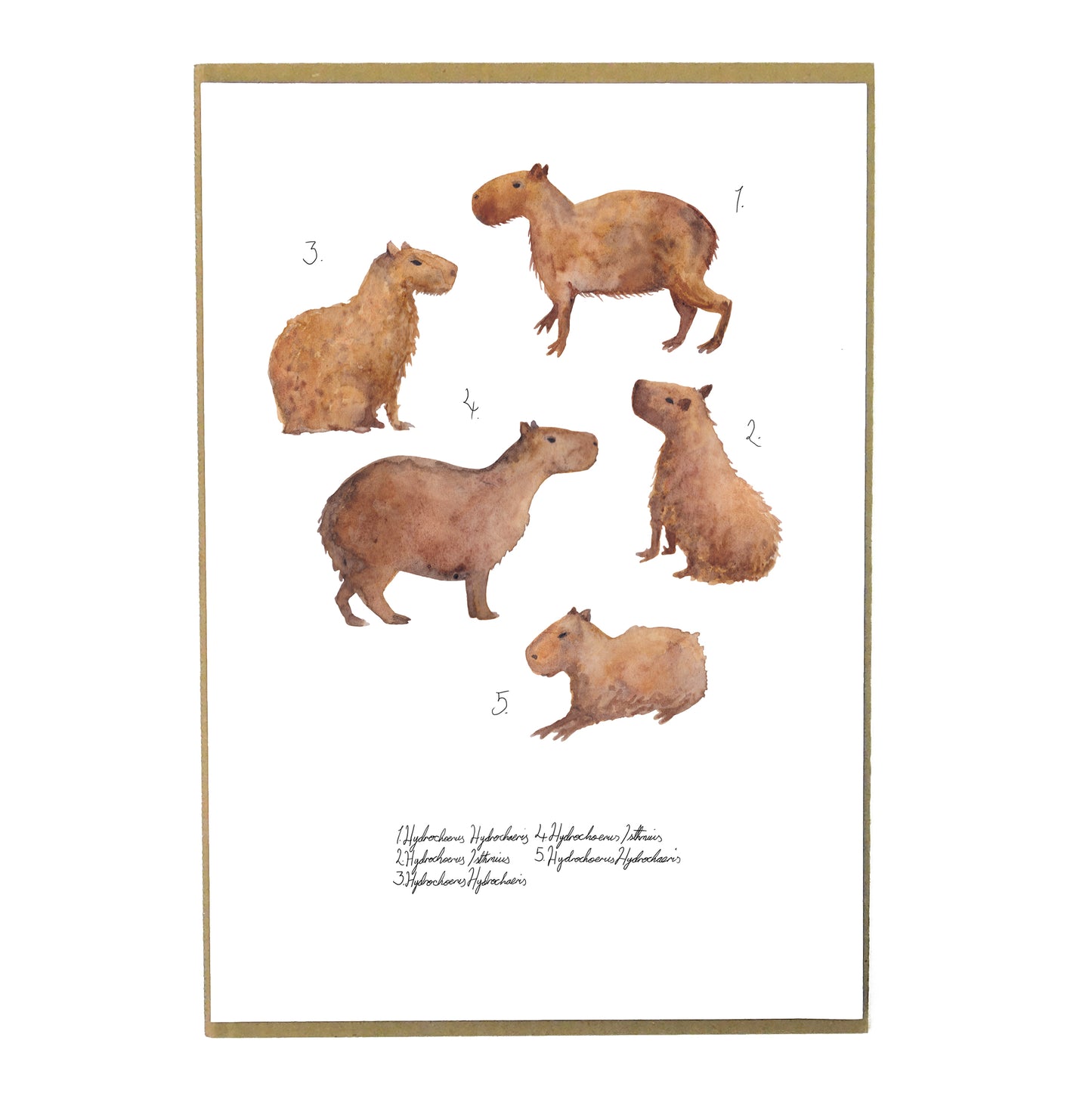 Chill of Capybaras Art Print