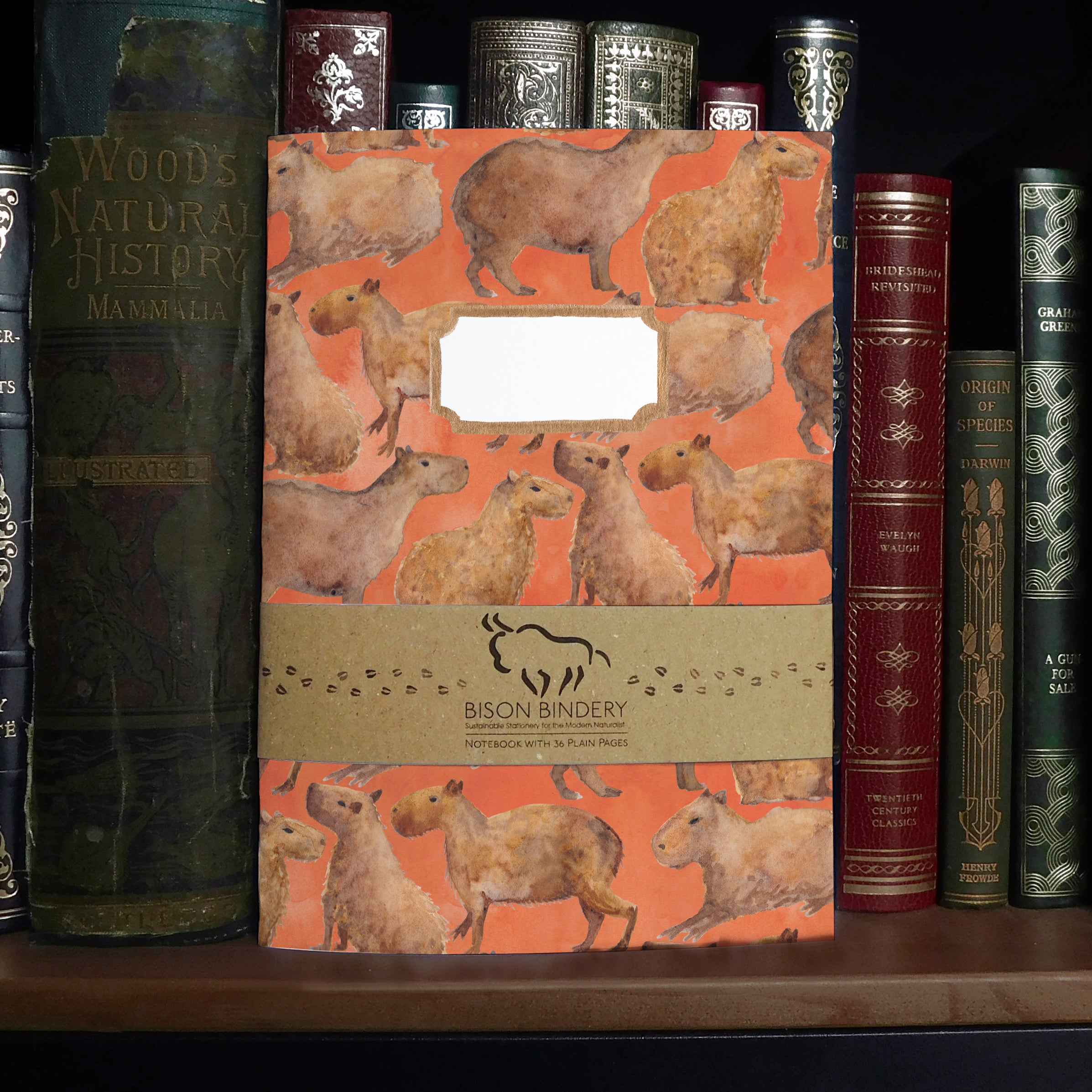 Chill of Capybaras Print Notebook – Bison Bindery