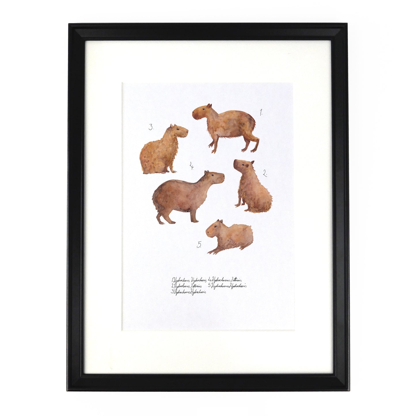 Chill of Capybaras Art Print