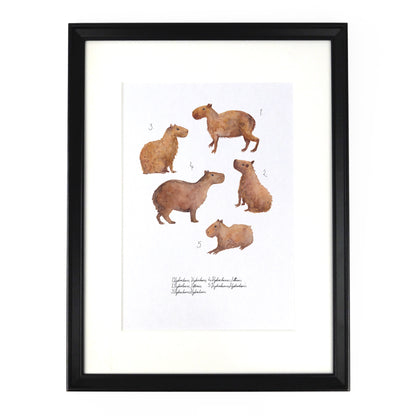 Chill of Capybaras Art Print