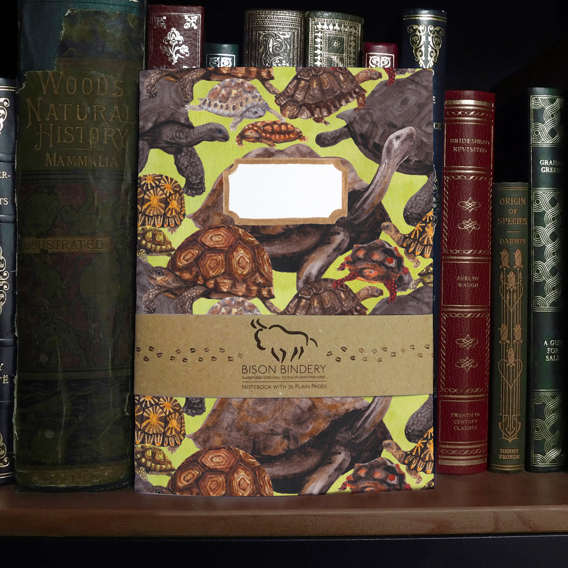Creep of Tortoises Print Notebook – Bison Bindery