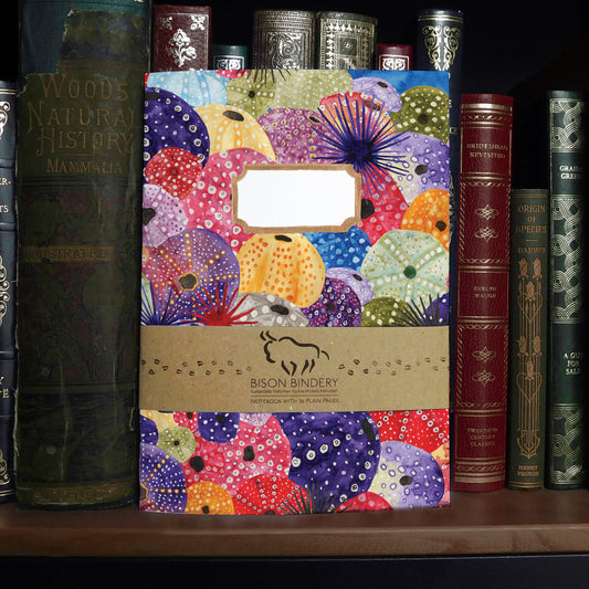 Echinozoa Urchin Print Notebook