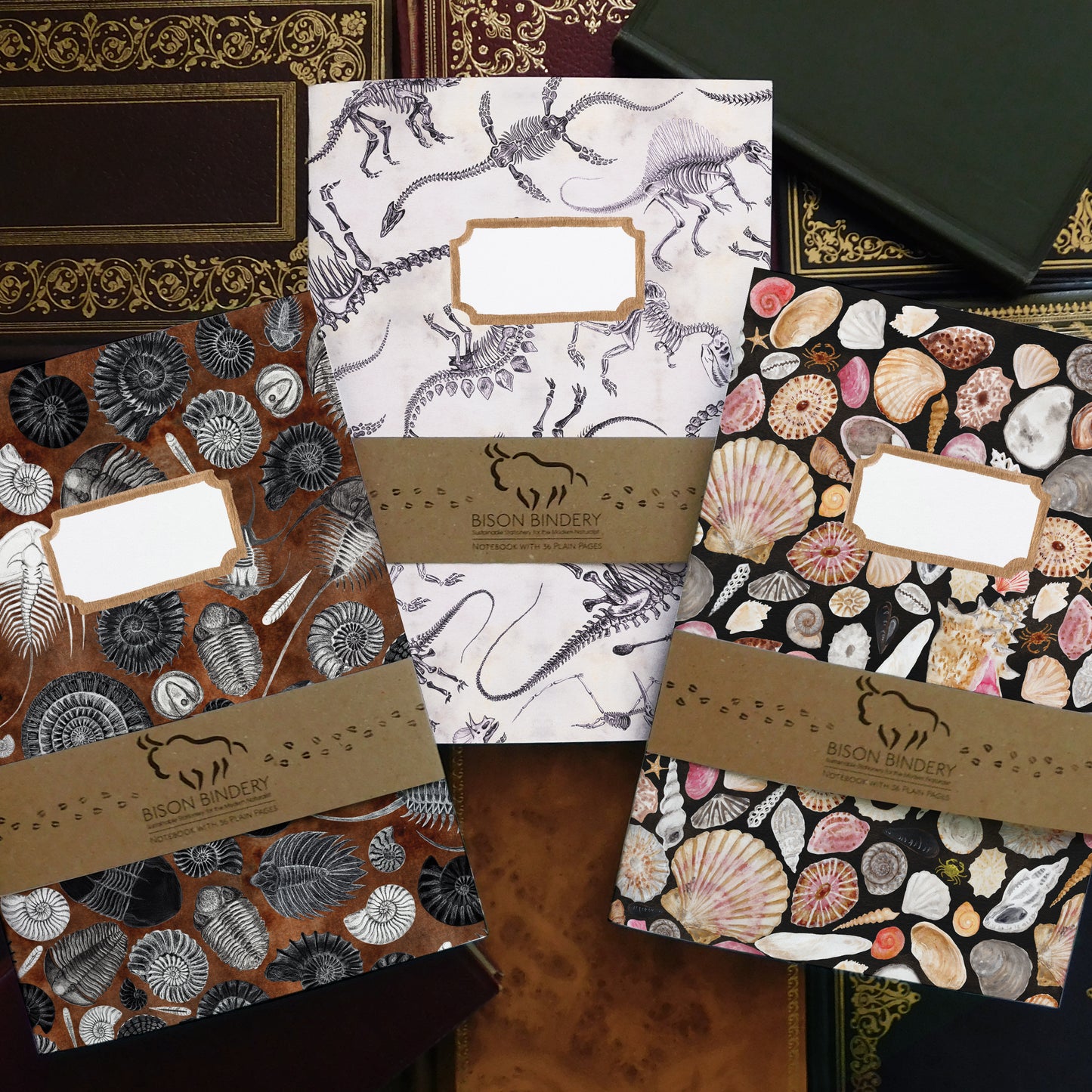 Fossils Notebook Pack