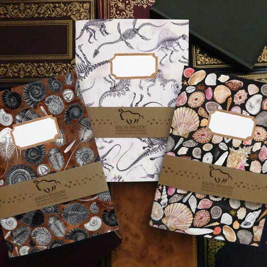 Fossils Notebook Pack