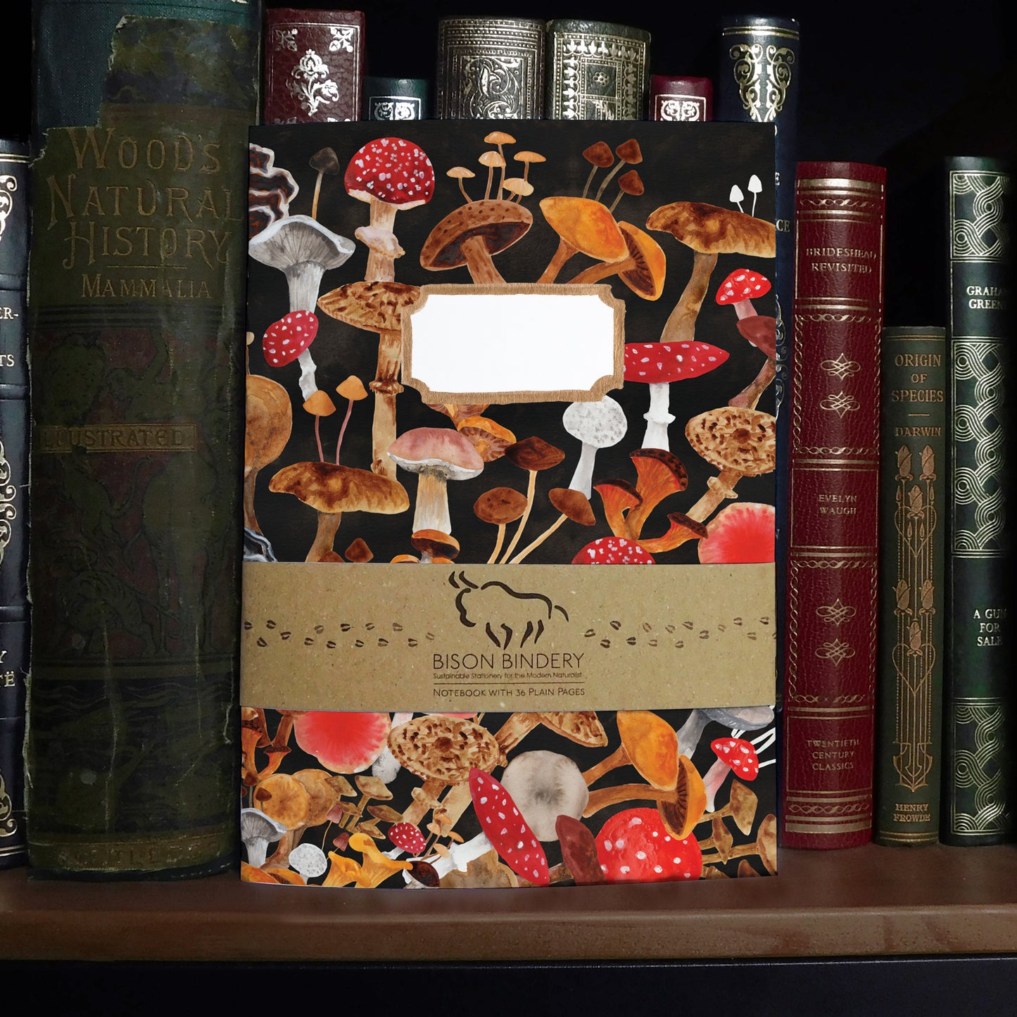 Fungi Print Journal and Notebook Set