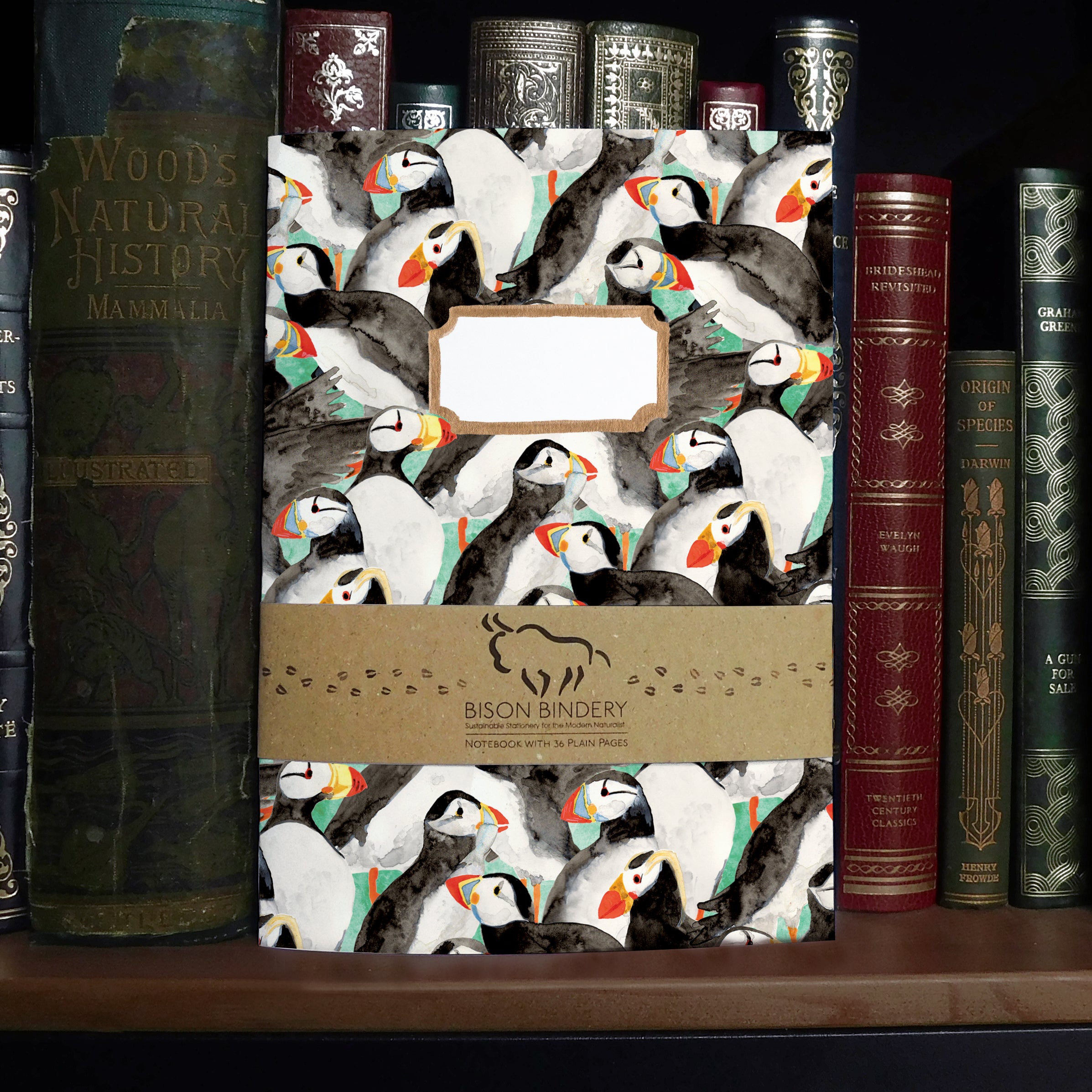 Improbability – Bison Bindery