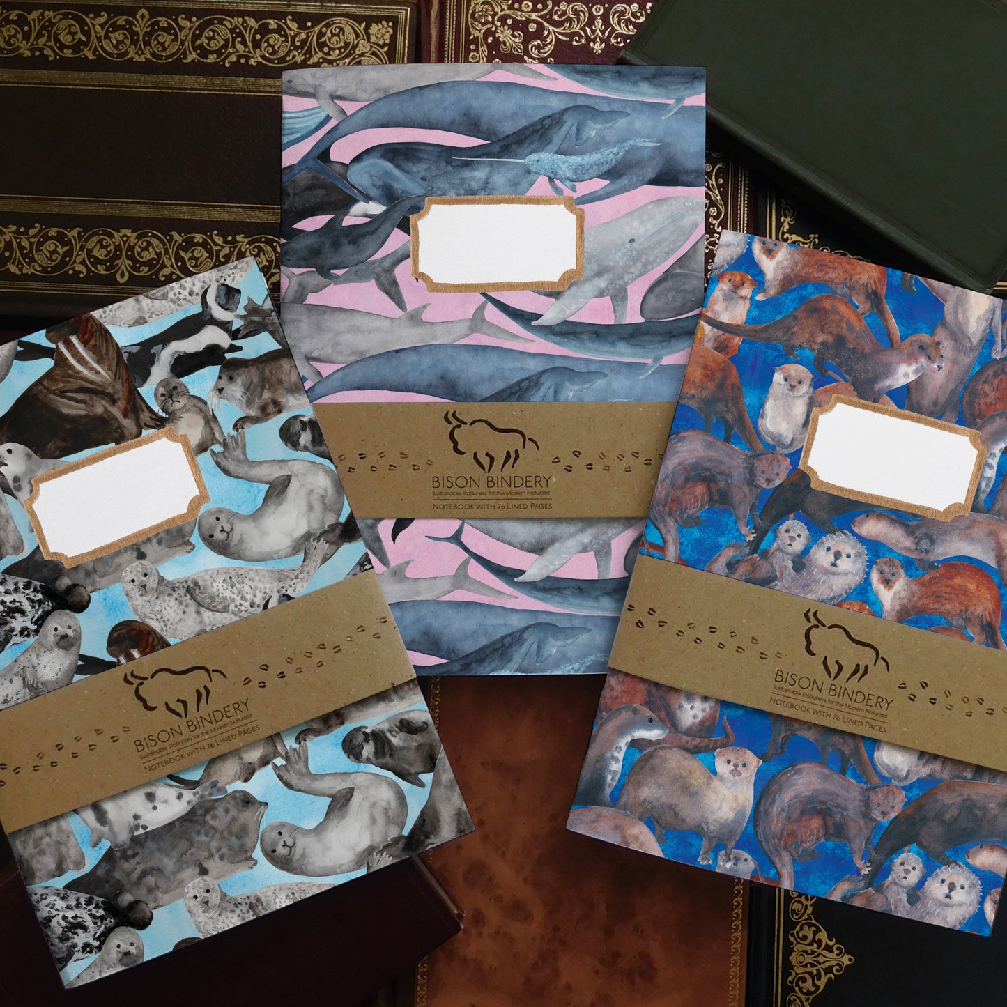Marine Mammals Lined Journal Pack