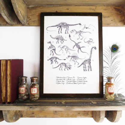 Mesozoic Dinosaur Art Print