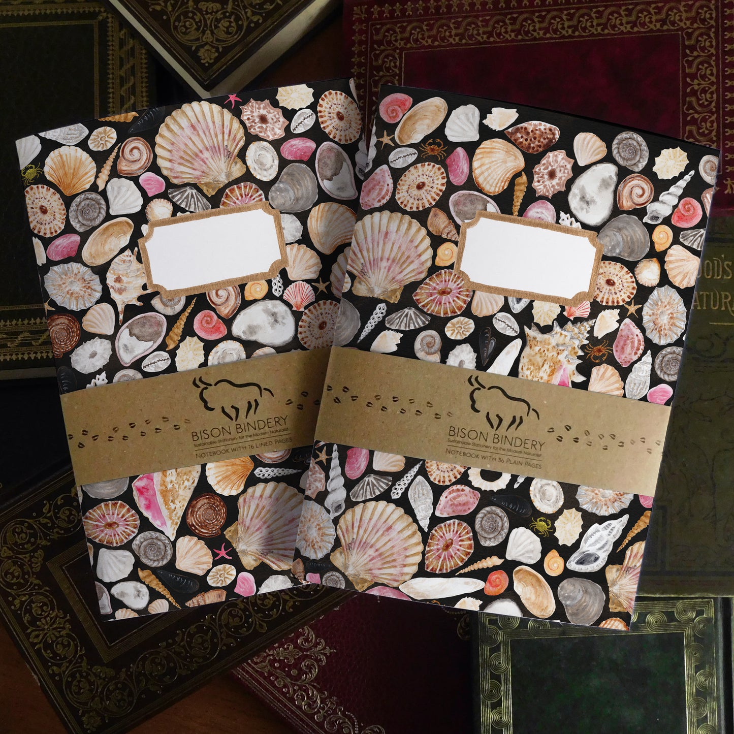 Mollusca Sea Shell Print Journal and Notebook Set