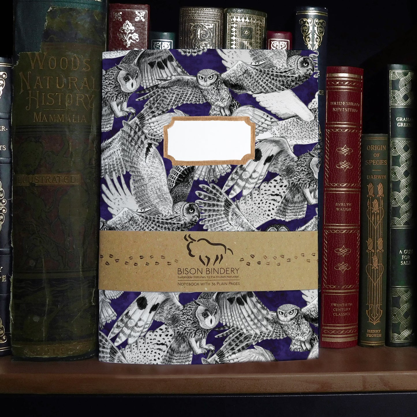 Parliament of Owls Print Notebook