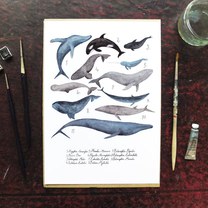 Pod of Whales Art Print