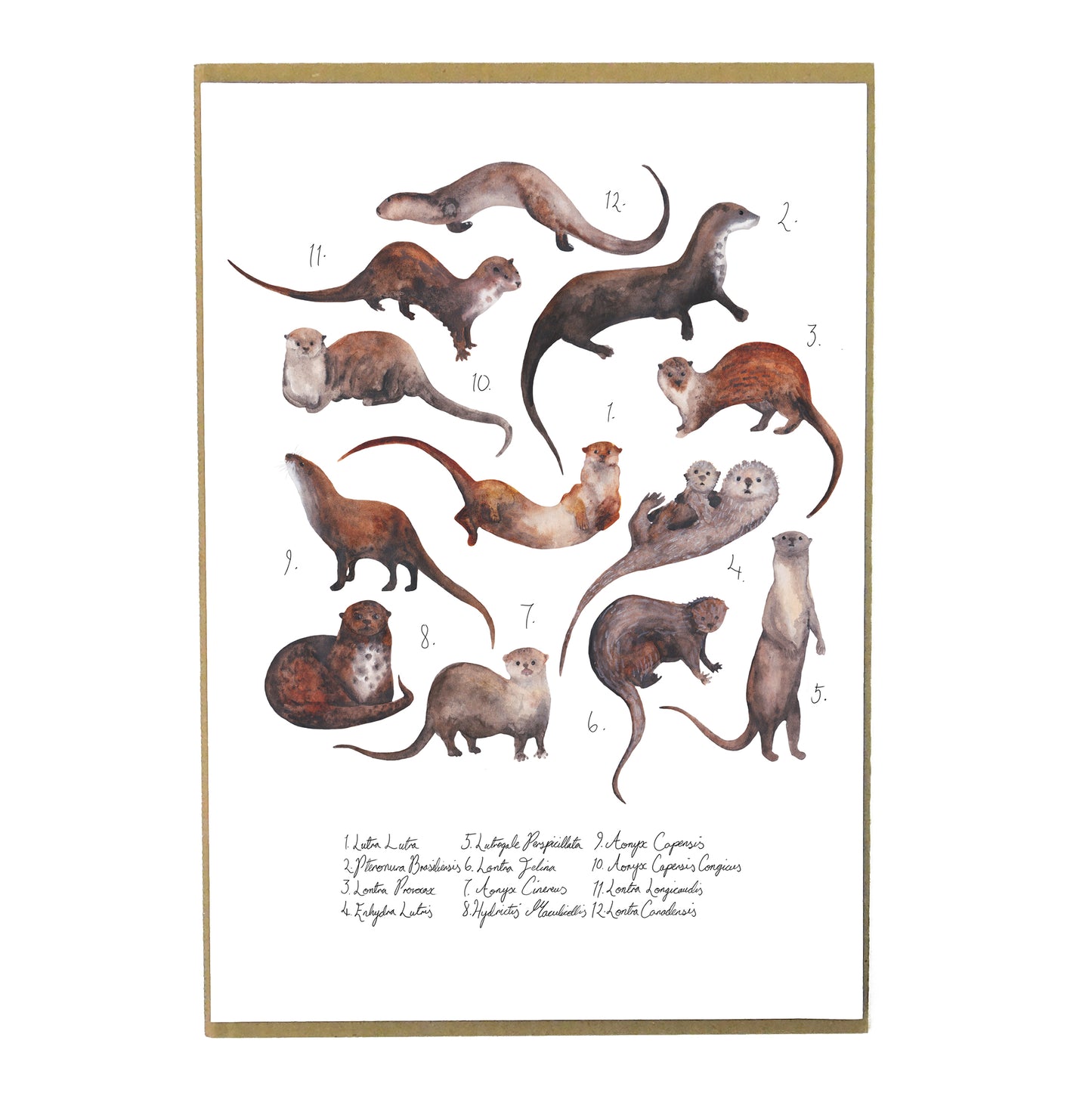 Raft of Otters Art Print