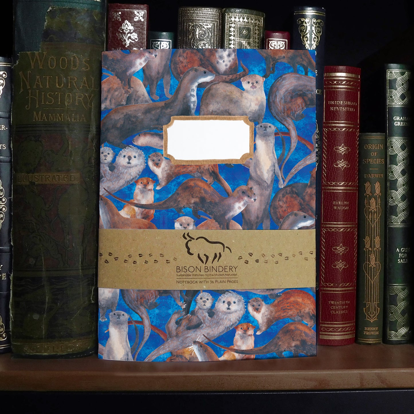 Raft of Otters Journal and Notebook Set