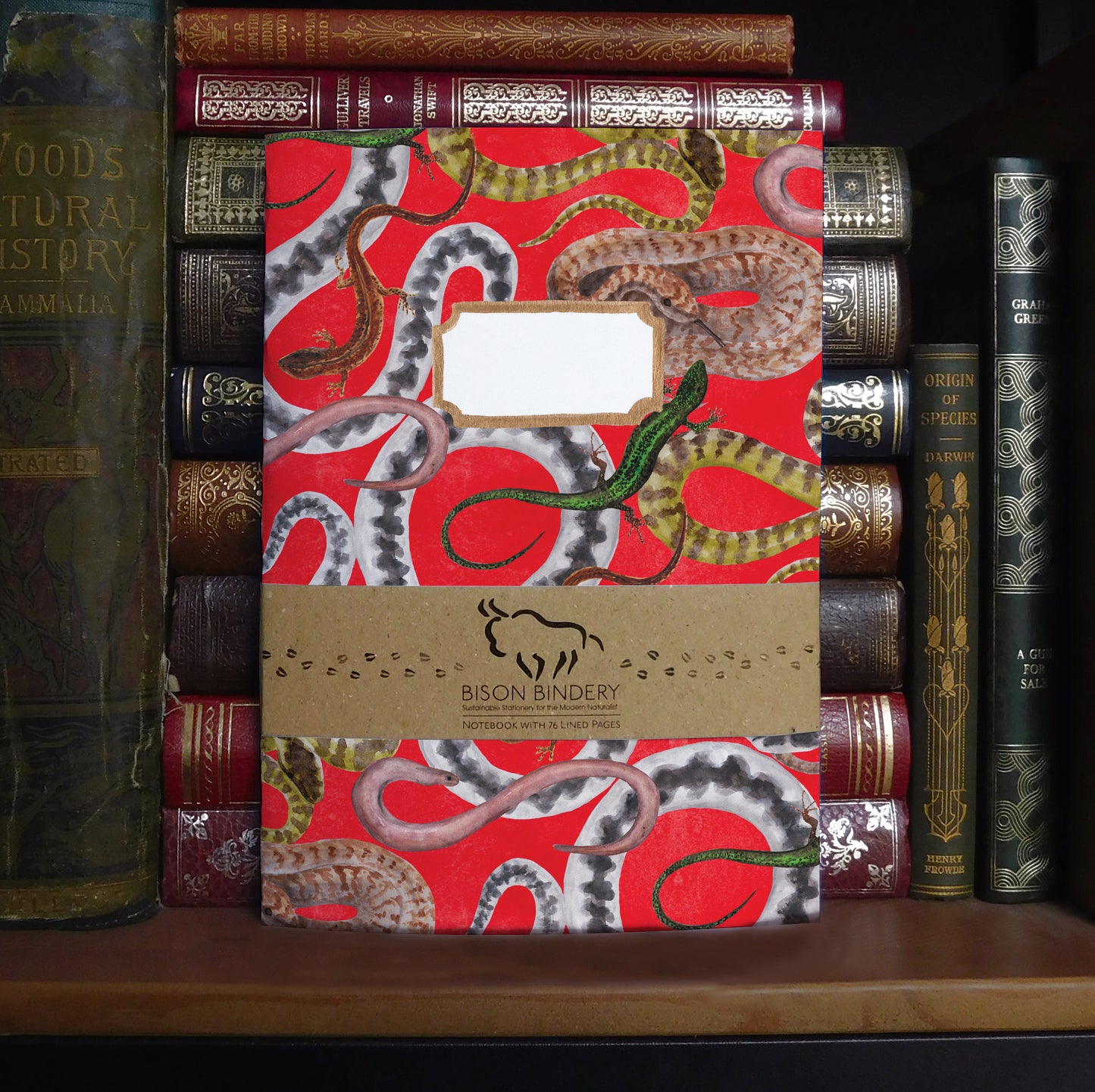 British Vertebrates Lined Journal Pack