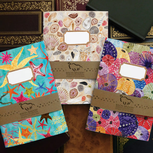Seashore Notebook Pack