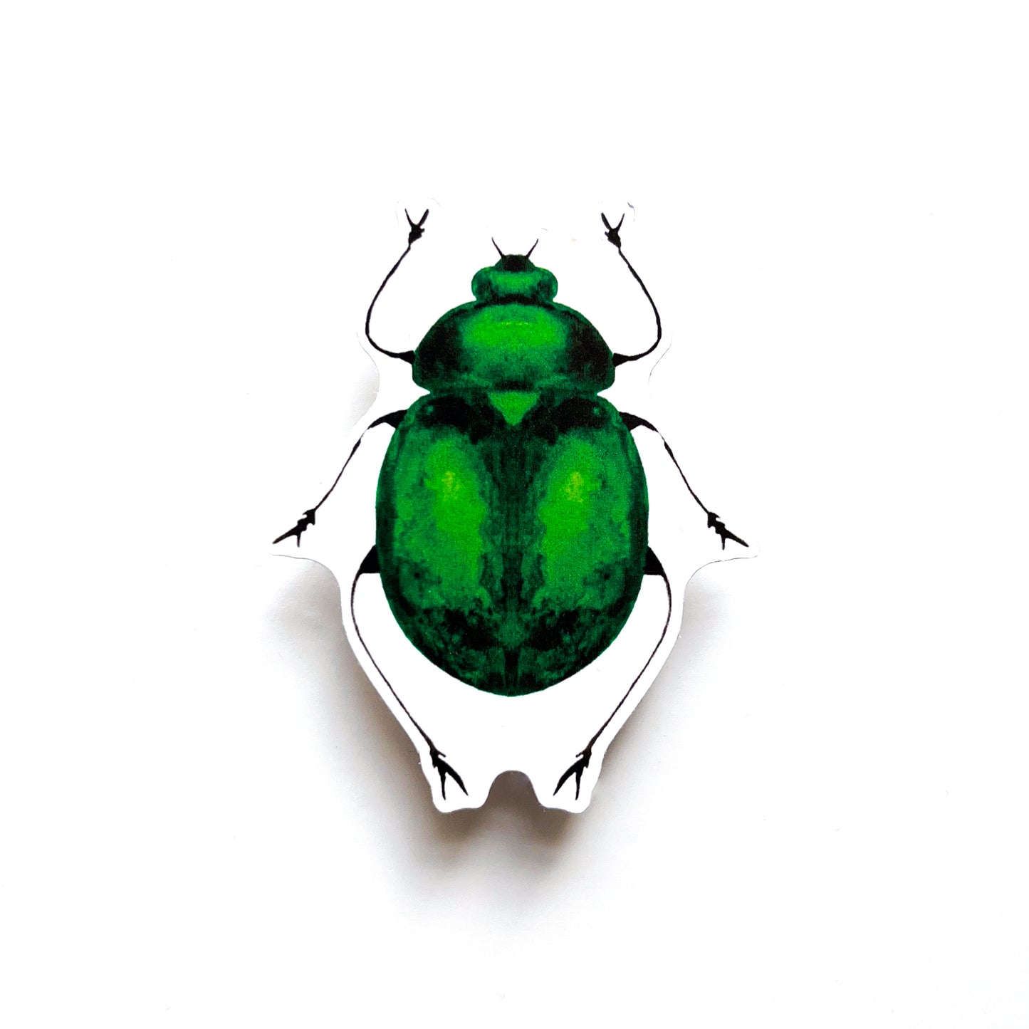 Beetle Sticker