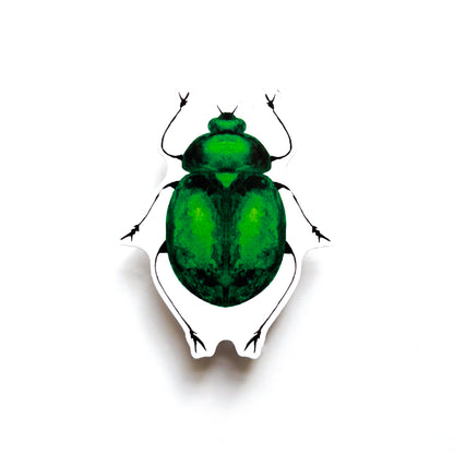 Beetle Sticker
