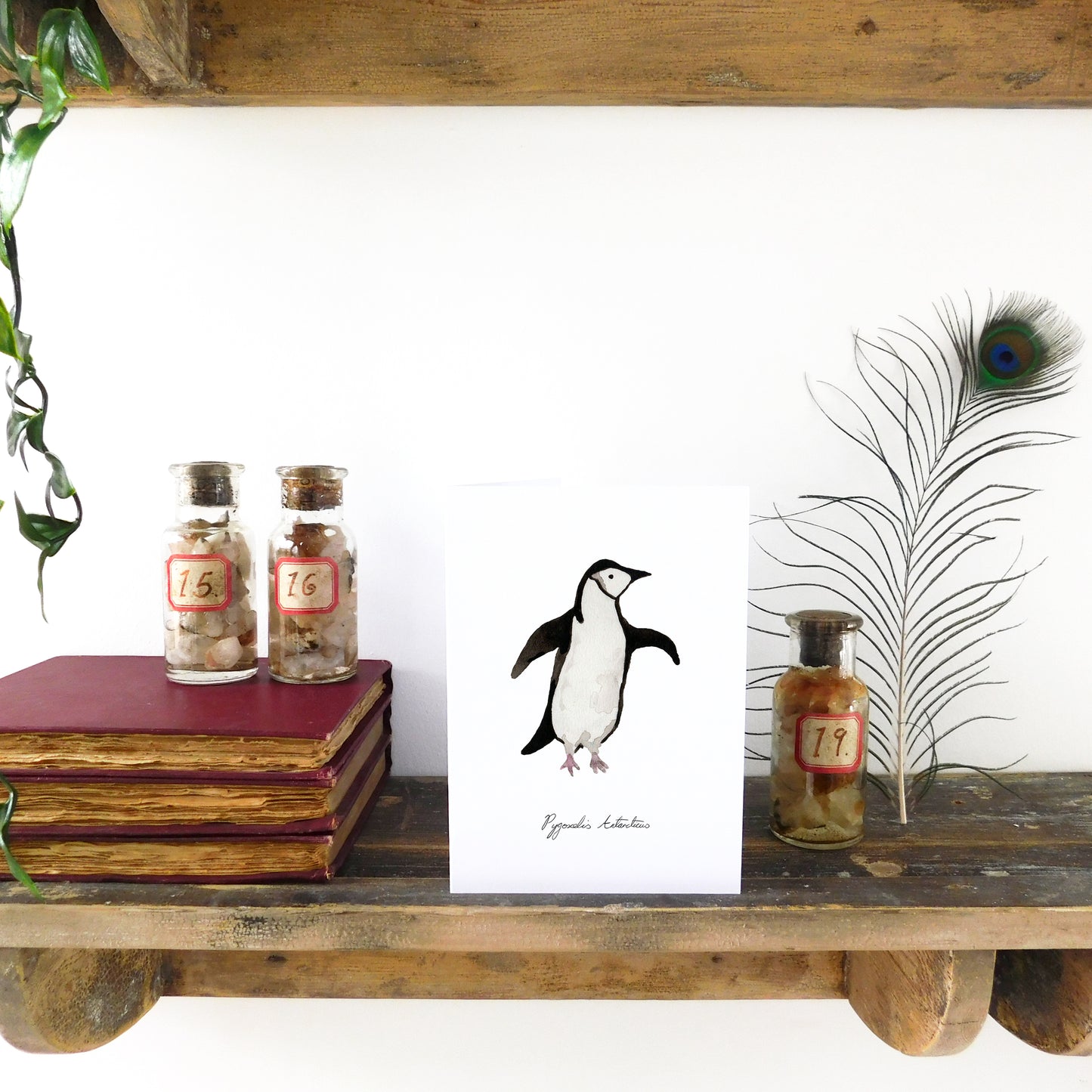 Waddle Chinstrap Penguin Greetings Card