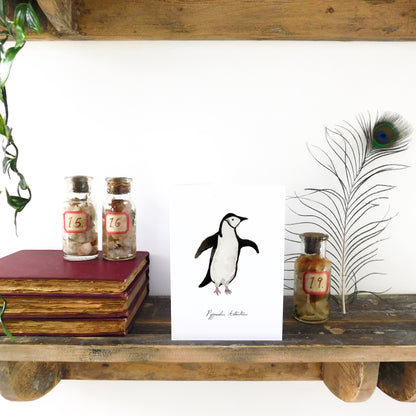 Waddle Chinstrap Penguin Greetings Card