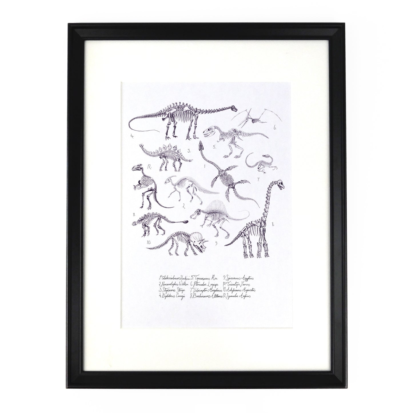 Mesozoic Dinosaur Art Print