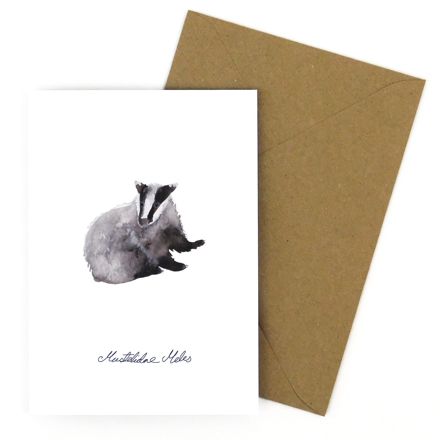 Woodland Animal Specimens Greetings Card Pack