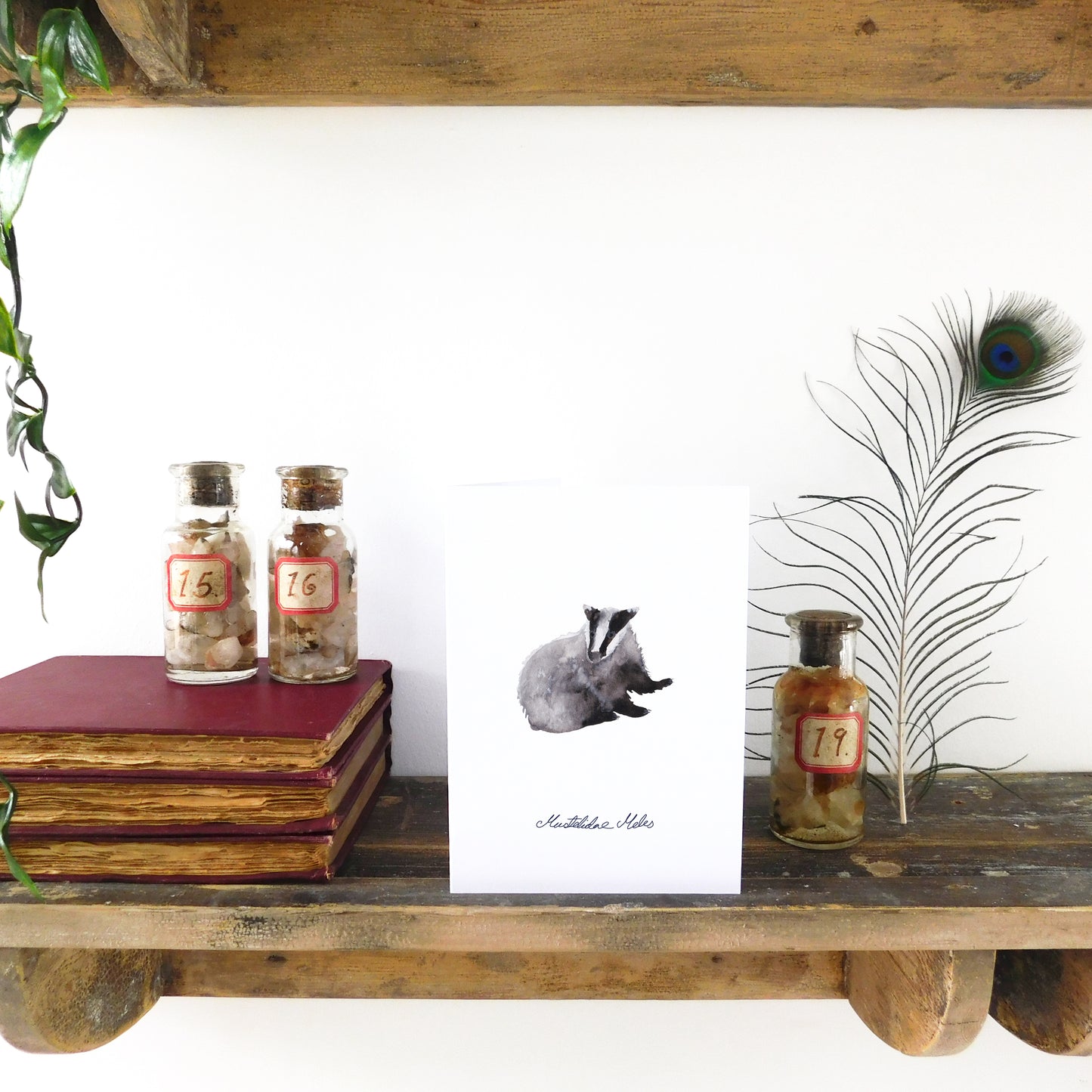 Sylvan Badger Greetings Card