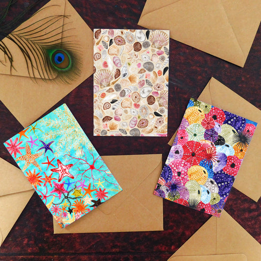 Seashore Greetings Card Pack