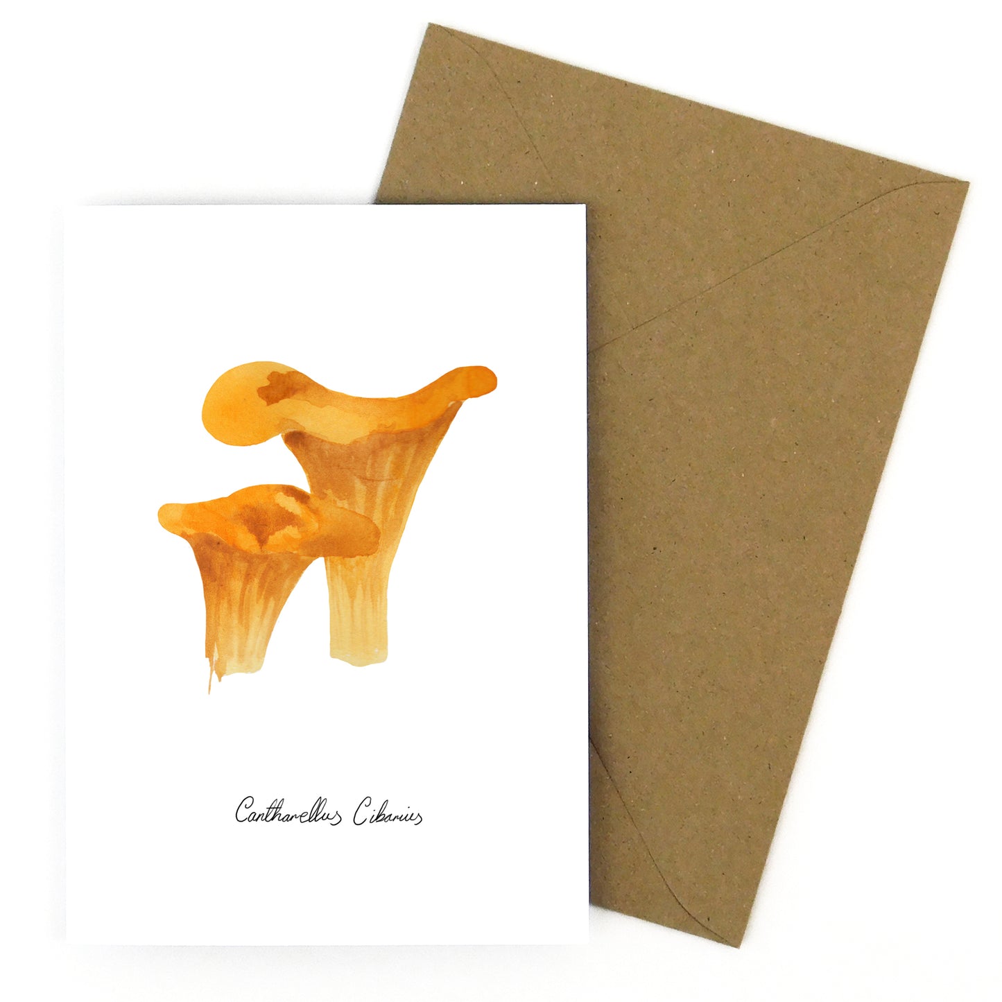 Fungi Chanterelle Mushroom Greetings Card