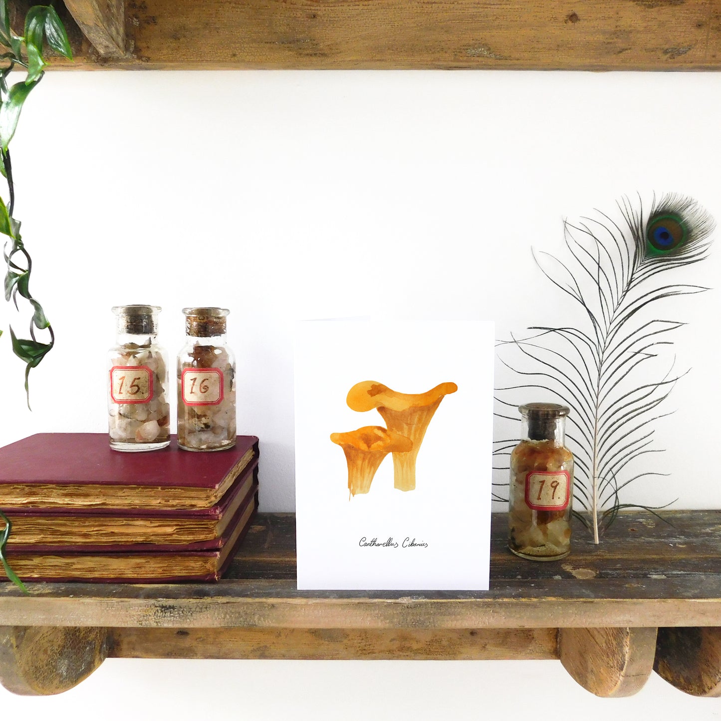 Fungi Chanterelle Mushroom Greetings Card