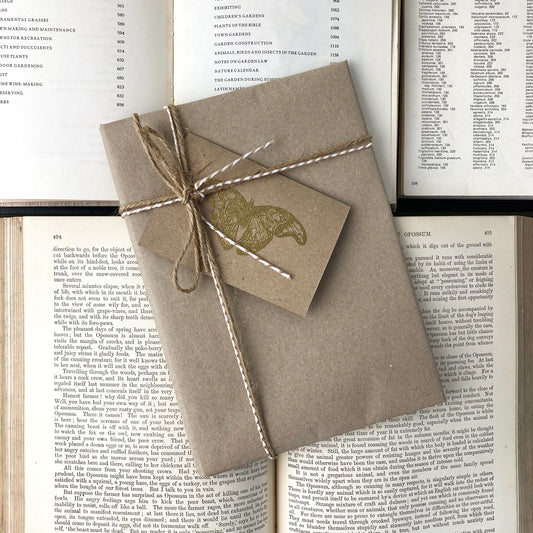 Gift Wrap