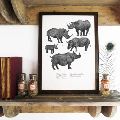 Crash of Rhinos Art Print