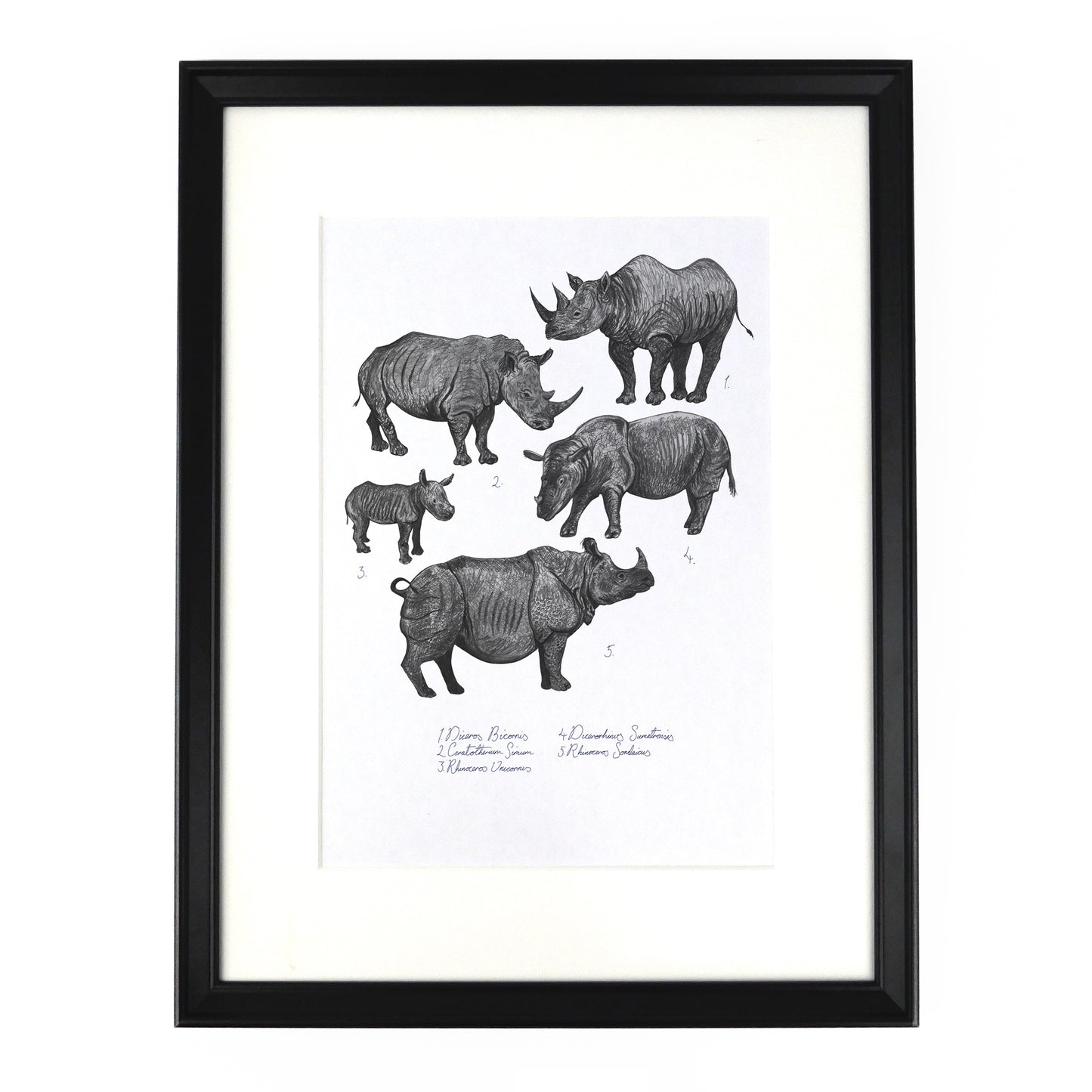 Crash of Rhinos Art Print