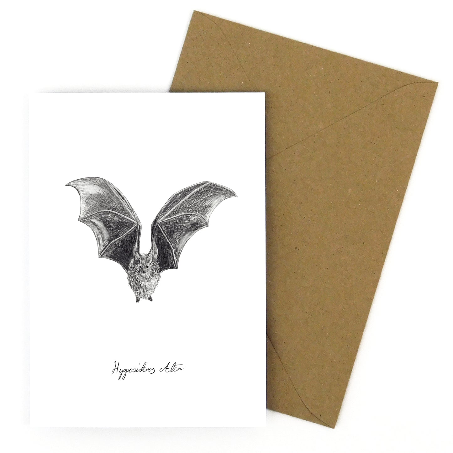 Chiroptera Dusky Leaf-Nosed Bat Greetings Card