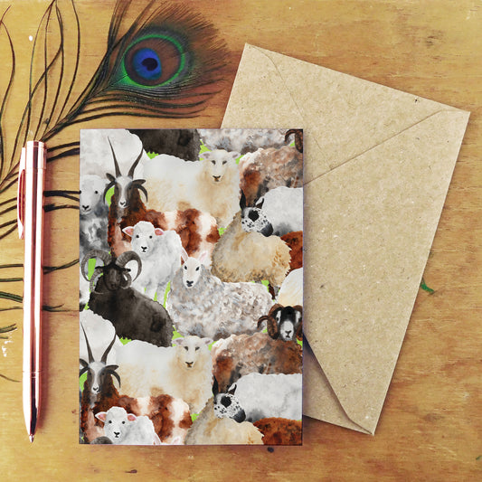 Flock of Sheep Greetings Card