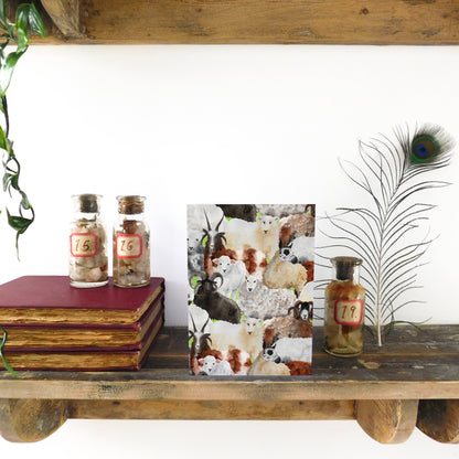 Flock of Sheep Greetings Card